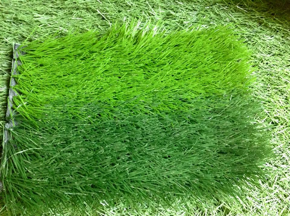 mẫu cỏ nhân tạo sân bóng đá đạt chuẩn