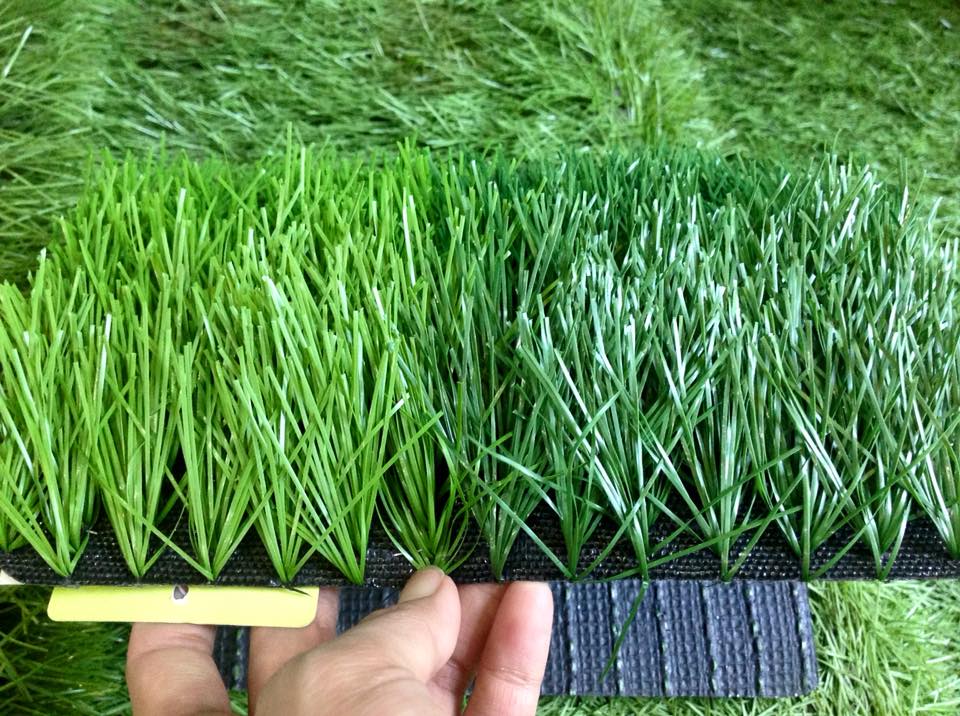 chi tiết cỏ nhân tạo sân bóng đá