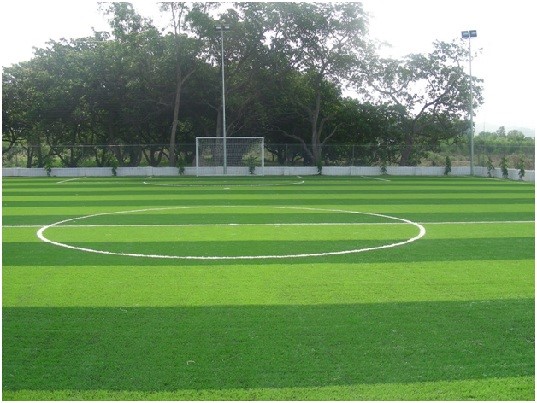 cỏ nhân tạo sân bóng đá chất lượng 