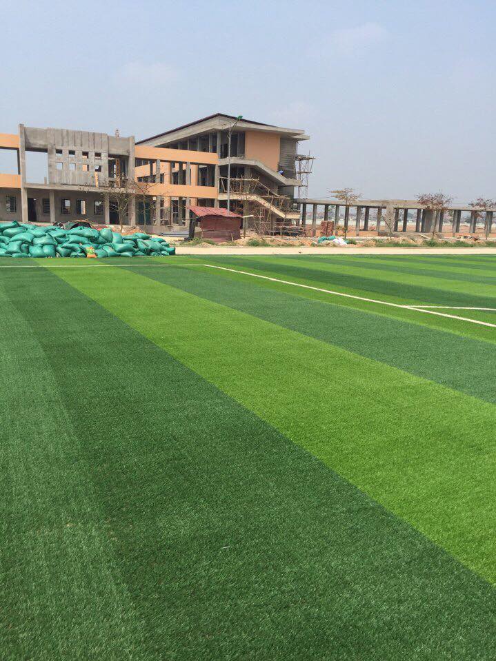 cỏ nhân tạo sân bóng đá Tuyên Quang