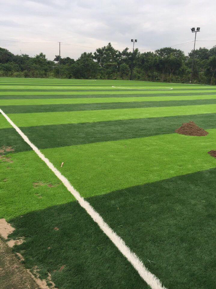 Sân cỏ nhân tạo sân bóng ở Bồ Đề - Long Biên