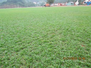 Sân bóng đá cỏ tự nhiên