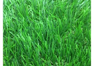 Thảm cỏ nhân tạo sân vườn giá tốt - VHT-KC113